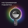 Умный чайник-светильник РЕДМОНД SkyKettle G214S
