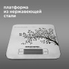 Весы кухонные REDMOND RS-M748