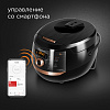 Умная мультикухня РЕДМОНД SkyKitchen CB391S со сковородой