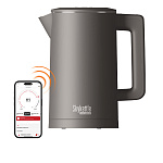 Умный чайник РЕДМОНД SkyKettle KM231S (серый)