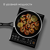 Электроплита индукционная РЕДМОНД RIC-4601